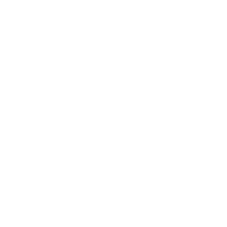 Recuperación de movilidad y fuerza